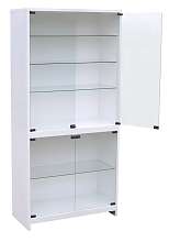 Лабораторный шкаф ШСС-2